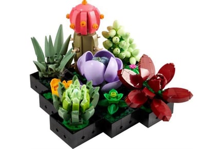 Succulent Plant Toy Building Blocks Set!