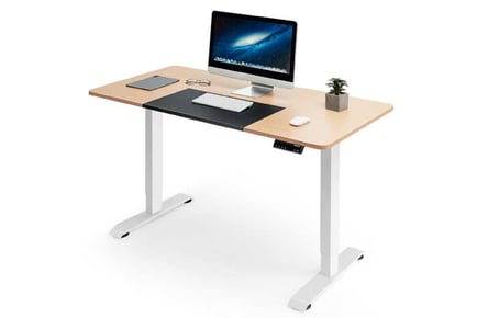 Electric Sit Stand Desk