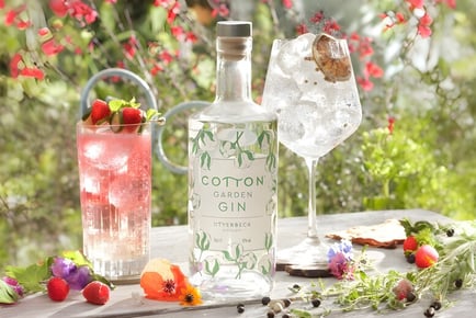 Craft Gin Club - Otterbeck - Distillery Cotton Garden Gin ABV 42% 70cl