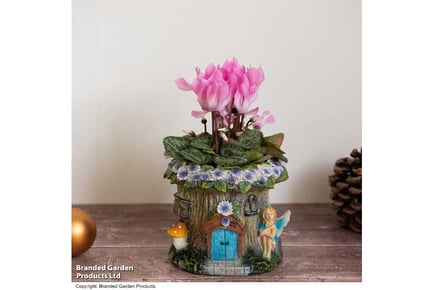 Woodland Fairy Planter with Plant