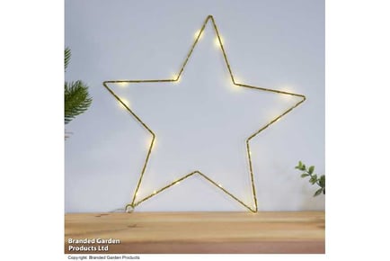 Festive LED light Star - Gold