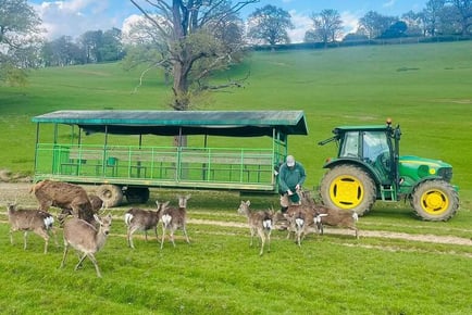 Entry To Bucklebury Farm including Indoor & Outdoor Play & Tractor Ride - For 2, 3 or 4 People