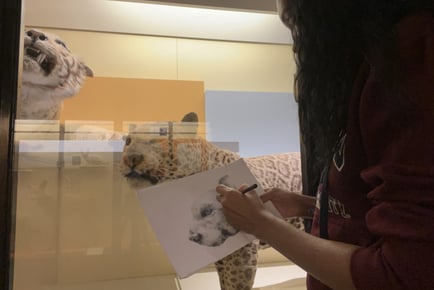 Sketching Workshop With Sasha Budhai Art - The Natural History Museum, London