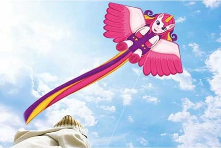 Easy to Fly Kites for Kids & Adults