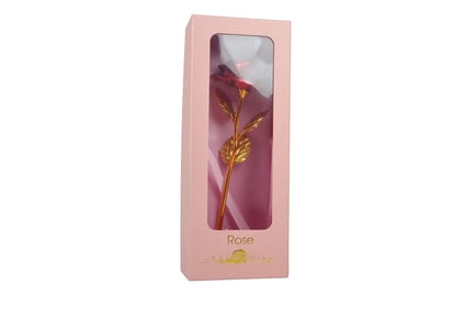 24k Gold Forever Rose - 7 Options