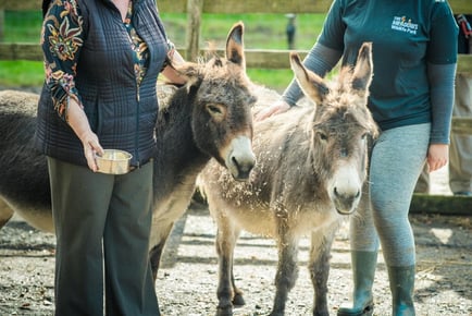 Meadows Wildlife Park Entry, Hot Drink & Animal Feeding - Cardiff