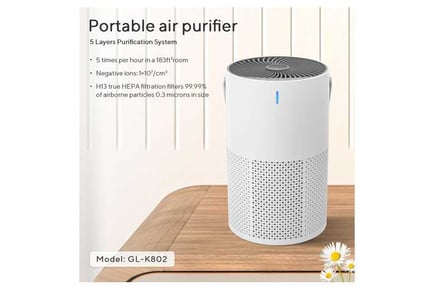 HEPA Air Purifier for Home