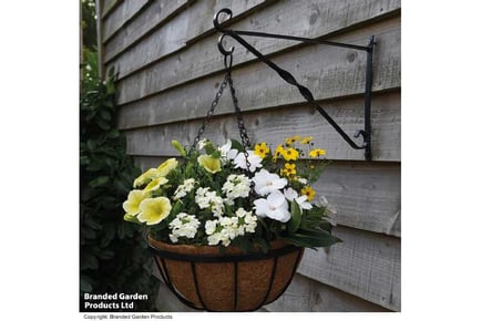 Vibrant Coco Lined Hanging Baskets (1-8 Options)