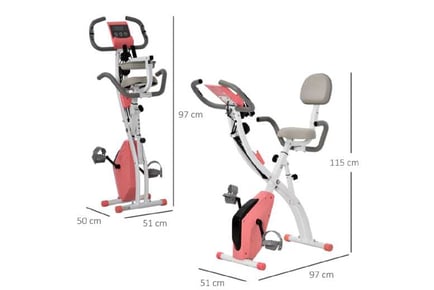 Chic 2-in-1 Pink Upright & Recumbent Bike