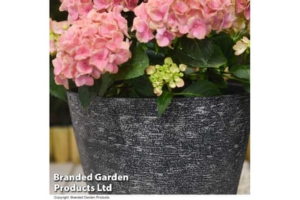 Elegant Stone Effect Patio Planters - Grey/White