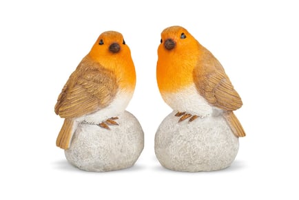 Pair of Robins on Stones Ornaments