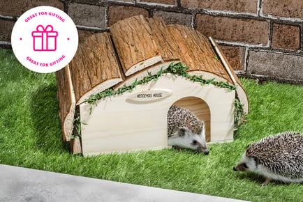 Hedgehog House