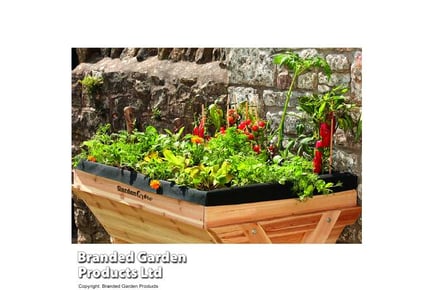 Large Garden Grow Wooden Planter