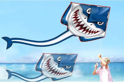 Single Line Huge Delta Kite Toy With Tail