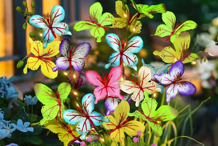 LED Solar Butterfly Flower Lights - Pack of 1, 2 or 4