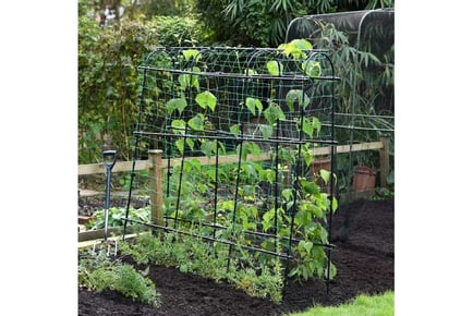 Garden Grow Pea Tunnel