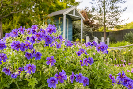 Barnsdale Garden Entry & Afternoon Tea for 1 or 2