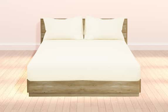 BEDSHEETS-1