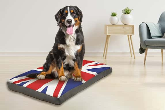 Union-Jack-Dog-Bed-1