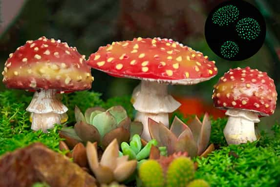 3-Pcs-Mini-Luminous-Resin-Mushroom-1