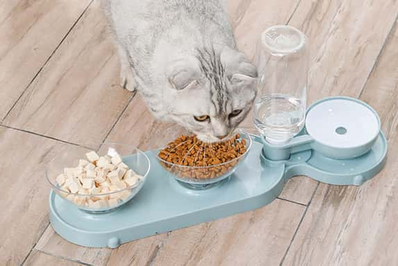 1-LEAD-PET-FEEDER-WET-AND-DRY-FOOD-BOWL-SET