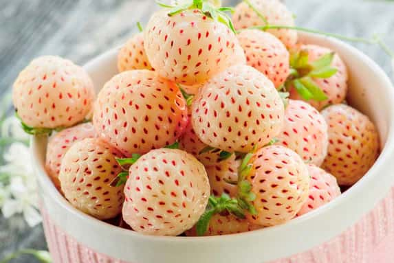 white-strawberry-1