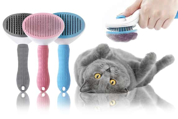 PET-HAIR-REMOVER-BRUSH-1