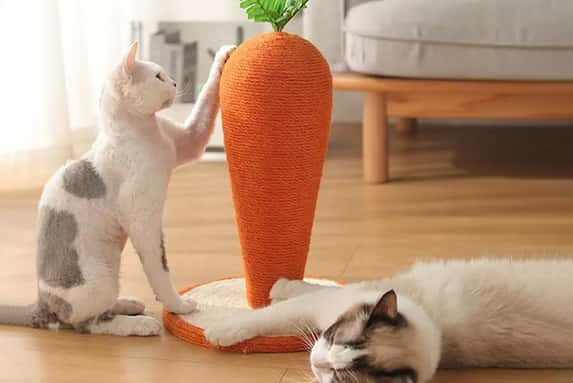 CAT-SCRATCHER-FOR-INDOOR-CATS-1