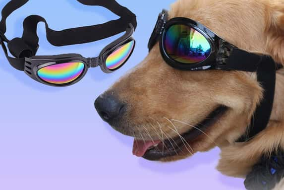 Swag-Glasses-for-pets-1