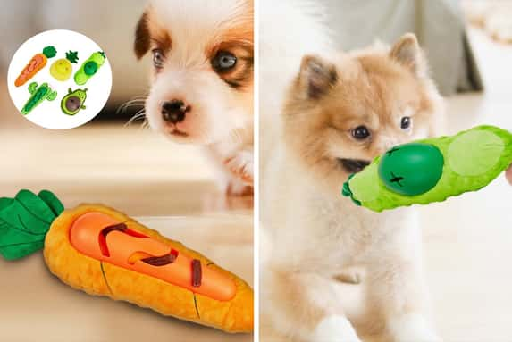 Fillable-Calming-dog-slow-feeder-chew-toy-1