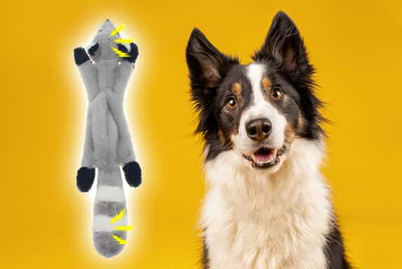 DOG-SQUEAKY-TOYS-NO-STUFFING-PLUSH-DOGS-CHEW-TOY-1