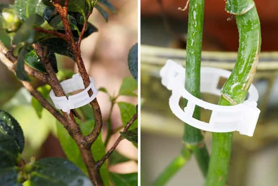 Tie-Vine-Clip-1