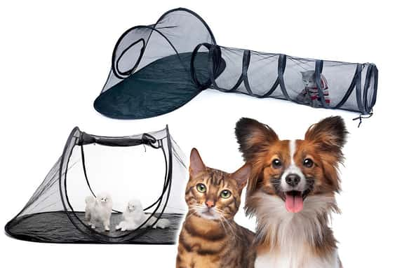 Outdoor-Pet-Tent-1