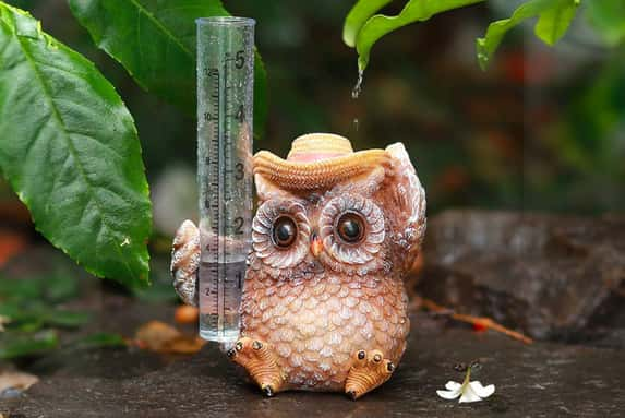 33068312-Rain-gauge-owl-ornament-1