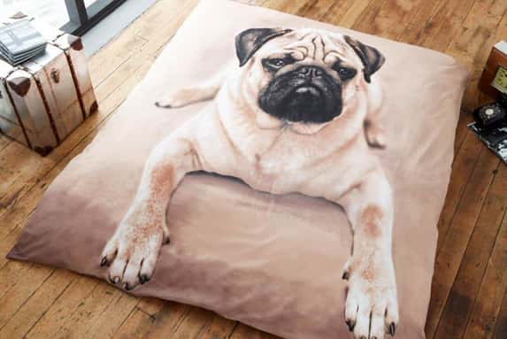 T&A-TEXTILES-&-HOSIERY-LTD---Pug-Throw