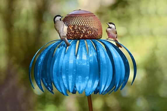 Sensation-Pink--Blue-Coneflower-Bird-Feeder-1