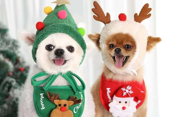 Pet-Cute-Hat-Dog-Hat-Christmas-Hat-Bib-Set-1