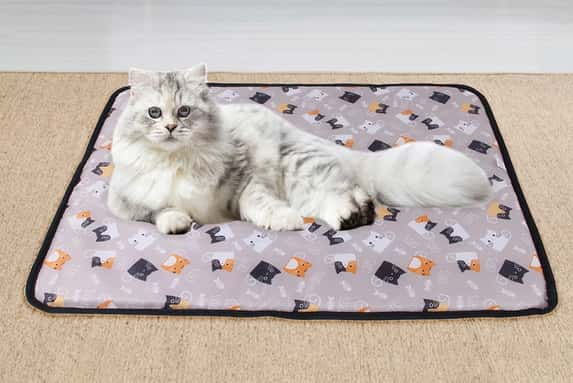 Rattan-Cooling-pet-bed-1