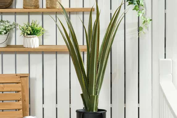 Artificial-Plants-Agave-Succulent-in-Pot-Desk-1