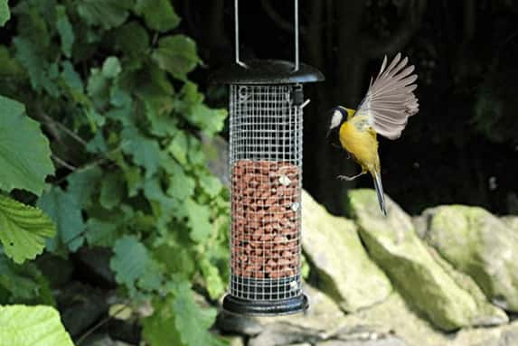 Hanging-Nut-Bird-Feeder-1