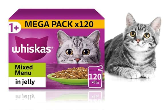 Whiskas-1