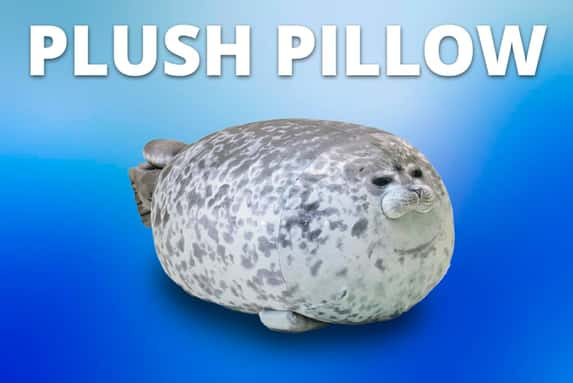 PLUSH-PLUSH