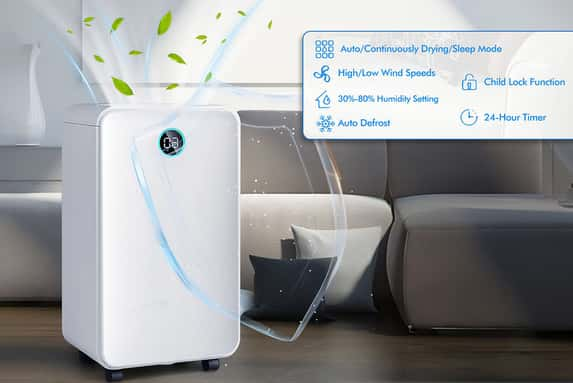 Portable-12L-Dehumidifier-1