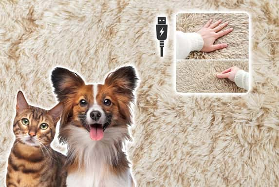 USB-Heated-Pet-Mat-1