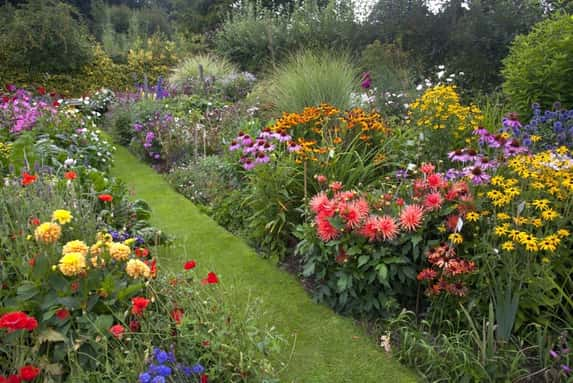 Perennial Cottage Garden 1