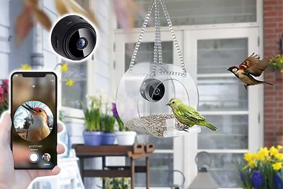 Smart-Bird-House-and-Feeder-1