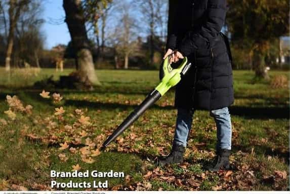 LEAF_BLOWE1741085695111