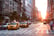 New York, USA, Stock Image - Sunlit Street