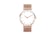 BacktoGoo-Women-Stainless-Steel-Band-Watches-Quartz-rose-gold