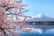 Tokyo, Japan, Stock Image - Mount Fuji and Lake Kawaguchiko